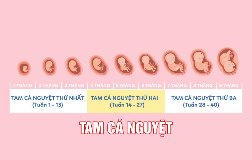 bảng tăng cân nặng chuẩn của mẹ bầu