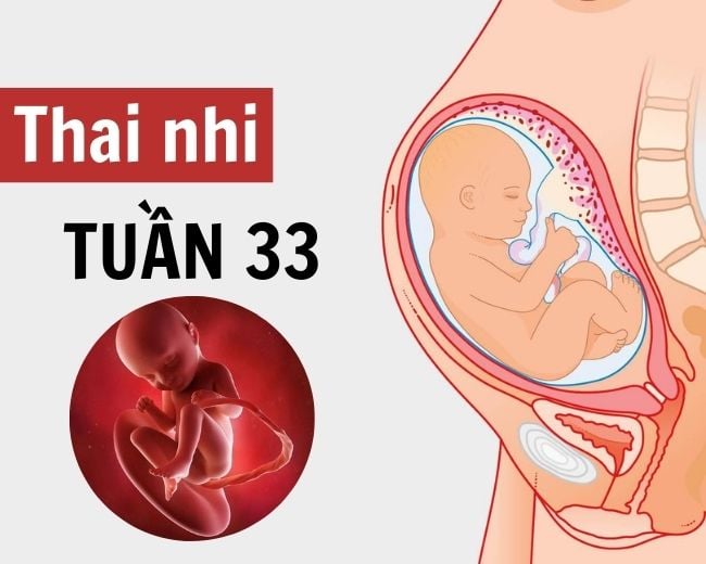 thai 33 tuần nặng bao nhiêu