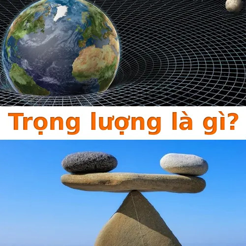 trọng lượng