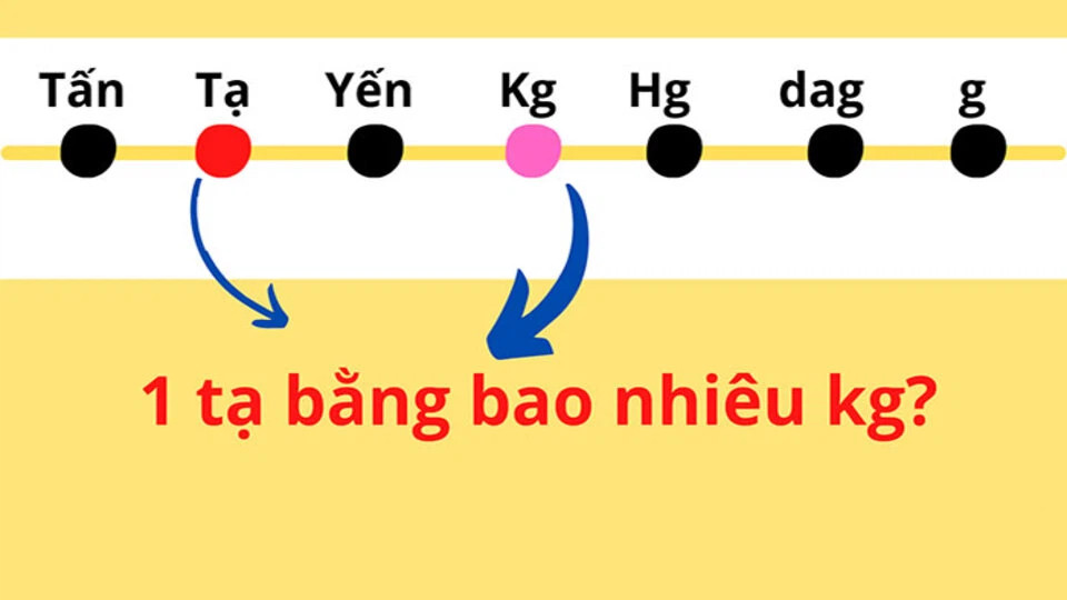 1 tạ bằng bao nhiêu kg