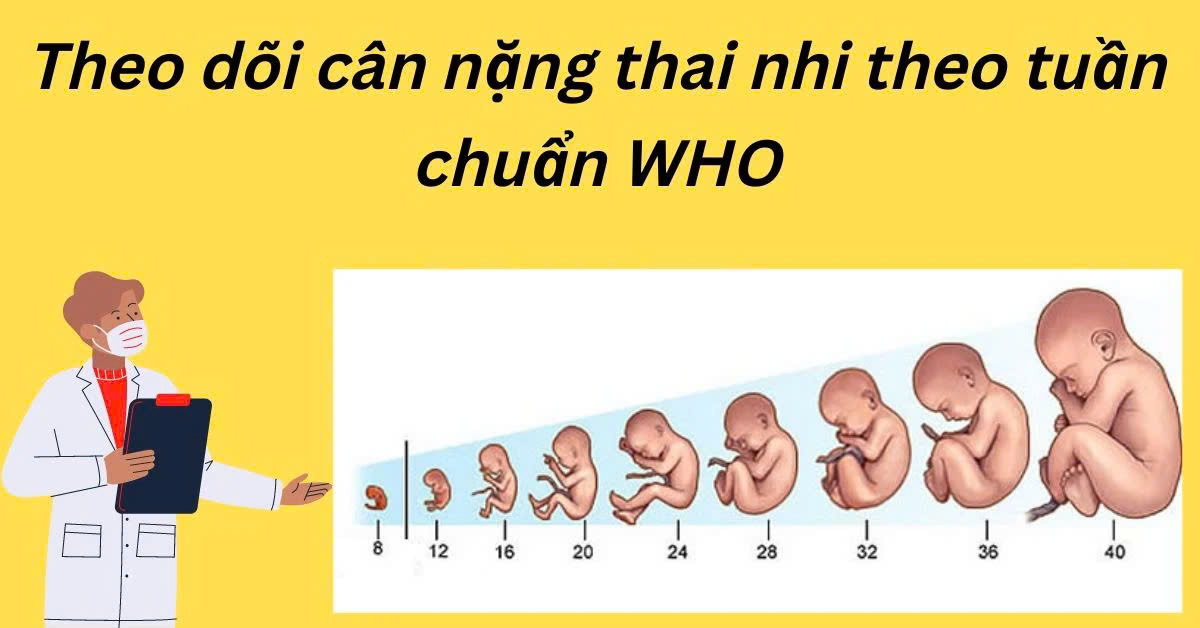 bảng cân nặng thai nhi