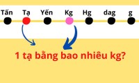 Tạ là đơn vị gì? 1 tạ bằng bao nhiêu kg? Ứng dụng trong lĩnh vực