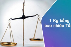 1 kg bằng bao nhiêu tấn? Cần lưu ý gì khi quy đổi kg sang tấn?