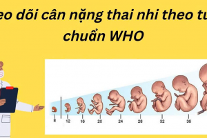 Bảng cân nặng thai nhi theo đúng tiêu chuẩn của WHO