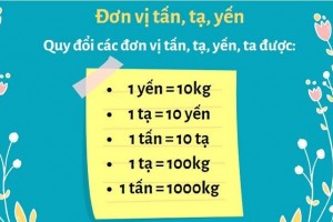 Bảng đơn vị đo khối lượng và cách quy đổi đơn vị đo