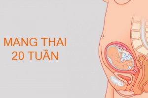 Thai 20 tuần nặng bao nhiêu? Cơ thể mẹ bầu thay đổi như thế nào ở tuần 20