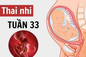 Thai 33 tuần nặng bao nhiêu? Những lưu ý dành cho mẹ bầu tuần 33